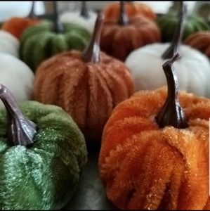 Decor Mini Pumpkins - Four Dozen (48 qty) NWT